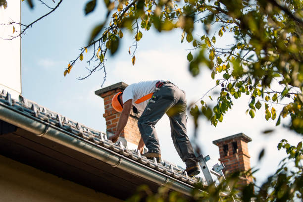 Best Roof Gutter Cleaning  in Mena, AR